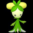 オリーニョ ポケモンチーム構築画像