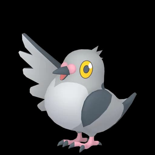 Pidove Pokemon team builder artwork
