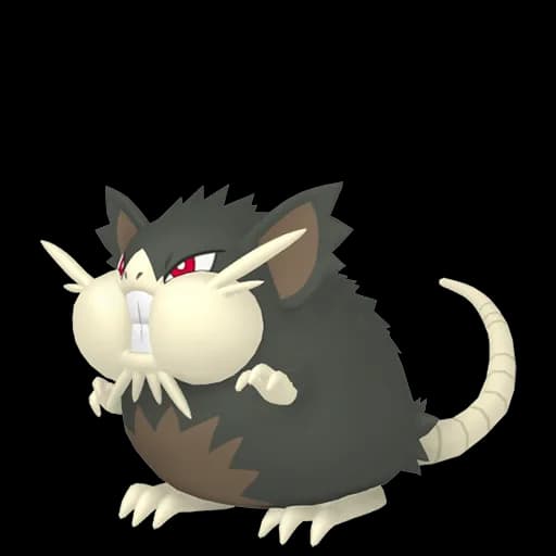 Raticate Alola Pokemon team builder artwork