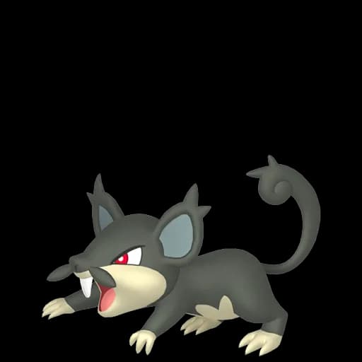Rattata Alola Pokemon team builder artwork