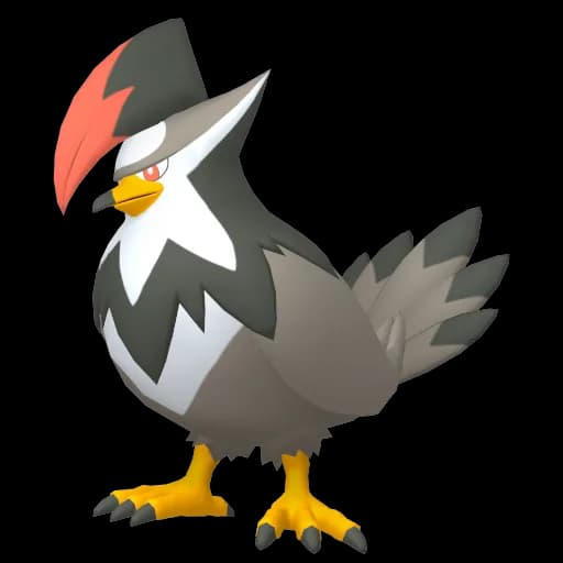 Staraptor Pokemon team builder artwork