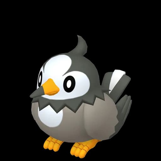 Starly Pokemon team builder artwork