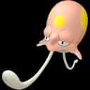 ノノクラゲ ポケモンチーム構築画像