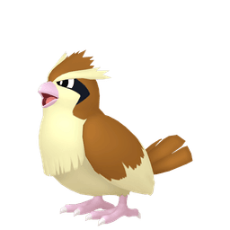 Pidgey artwork