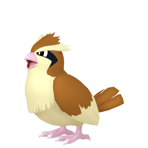 Pidgey artwork