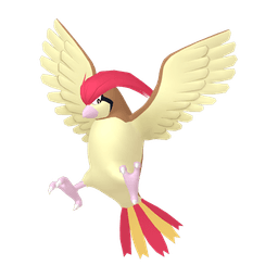 Pidgeotto artwork