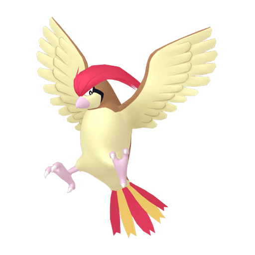 Pidgeotto artwork
