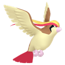 Pidgeot artwork