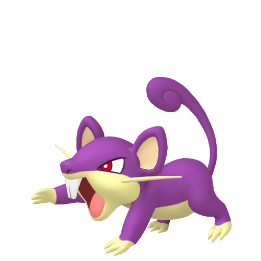 Rattata artwork