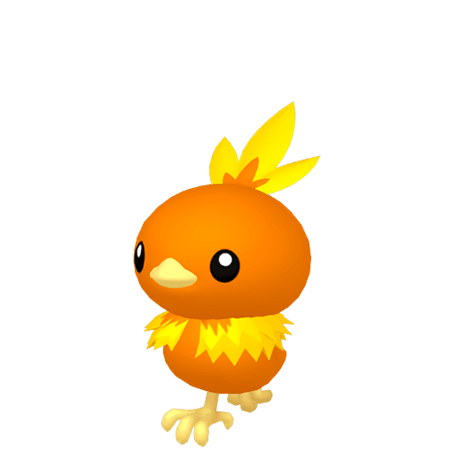 Torchic artwork
