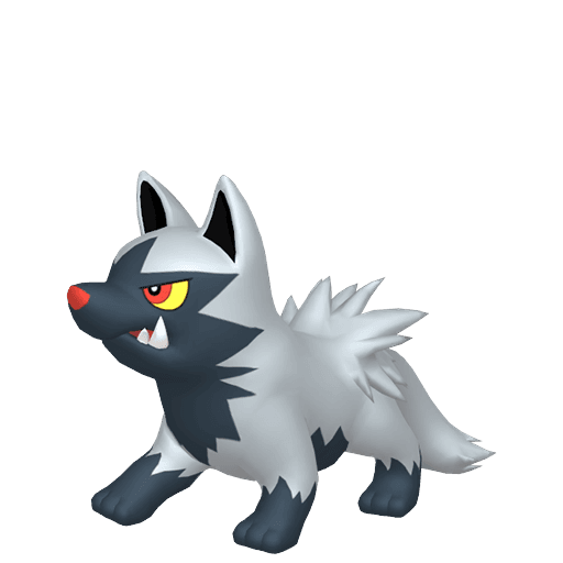 Poochyena artwork
