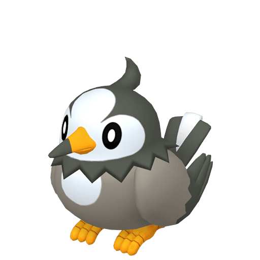 Starly artwork