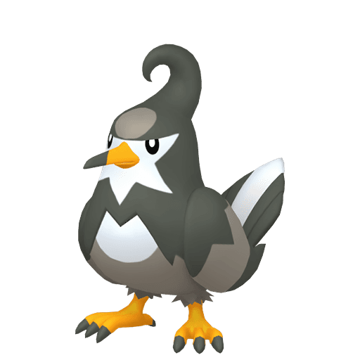 Staravia artwork