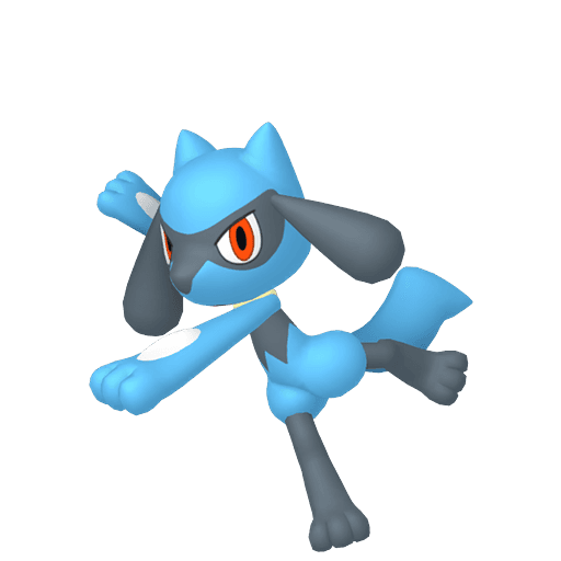 Riolu artwork