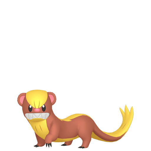 Yungoos artwork