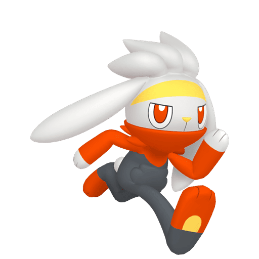 Raboot artwork