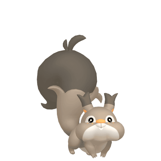 Skwovet artwork