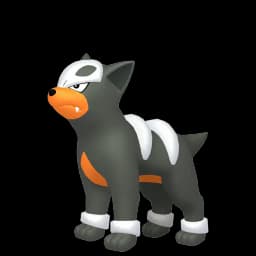 Houndour Pokemon team builder artwork