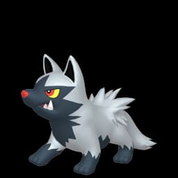 Poochyena Pokemon team builder artwork