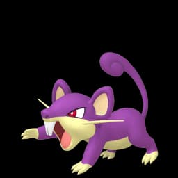 小拉达 Pokemon team builder image