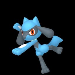 Riolu Pokemon team builder artwork