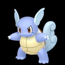 卡咪龟 Pokemon team builder image